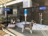 Osaka Airport opens new toilet - for dogs